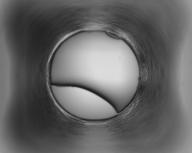 X0000098001487200803241031