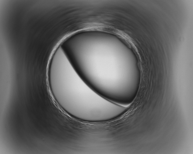 X0000098001488200803241031