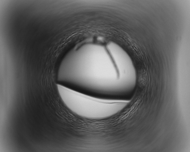 X0000098001490200803241031