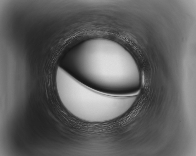 X0000098001492200803241031