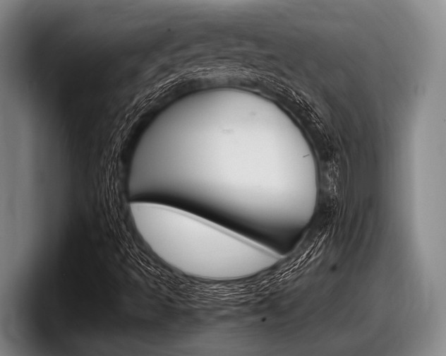 X0000098001493200803241031