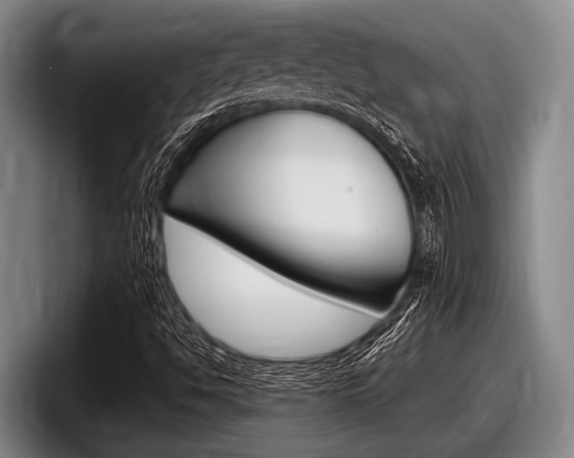 X0000098001494200803241031