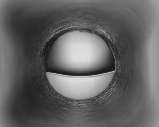 X0000098001496200803241031
