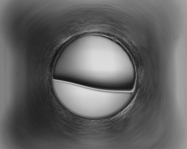 X0000098001497200803241031