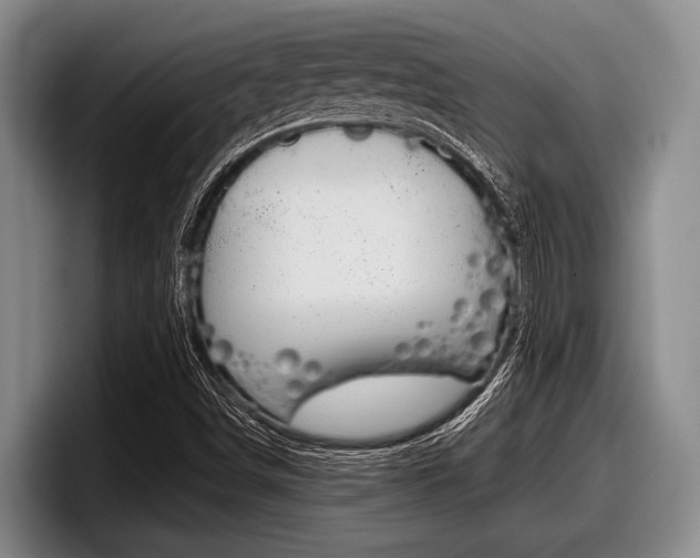 X0000098001498200803241031