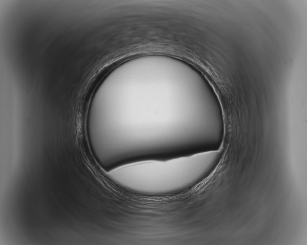 X0000098001499200803241031