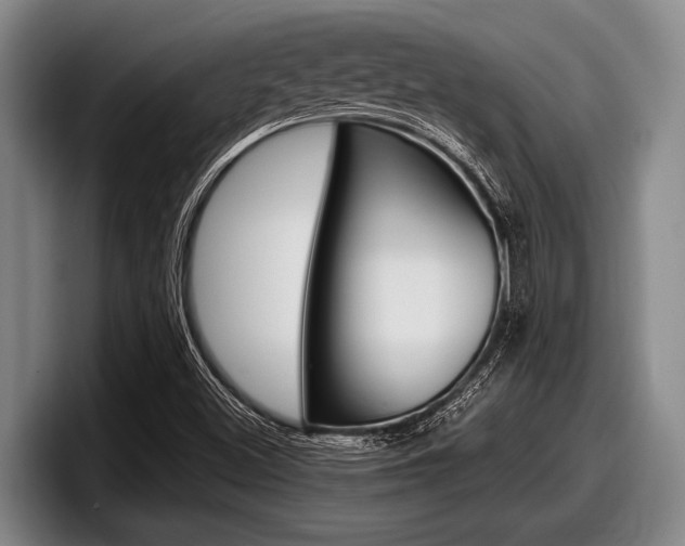 X0000098001500200803241031