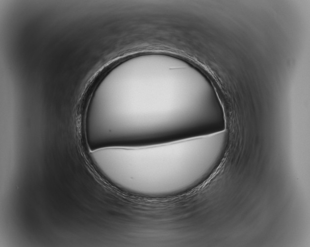 X0000098001503200803241031