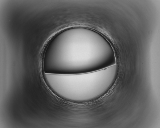 X0000098001504200803241031