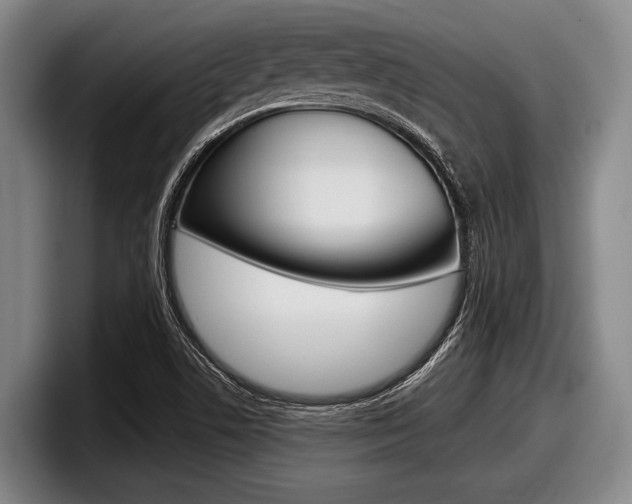 X0000098001506200803241031