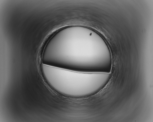 X0000098001507200803241031