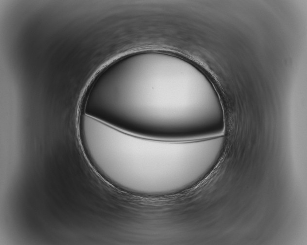 X0000098001508200803241031