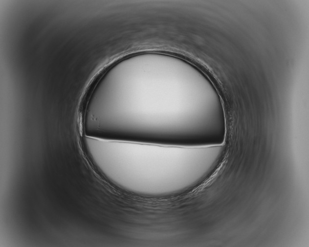 X0000098001509200803241031