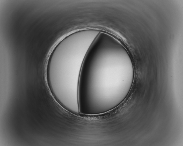 X0000098001512200803241031