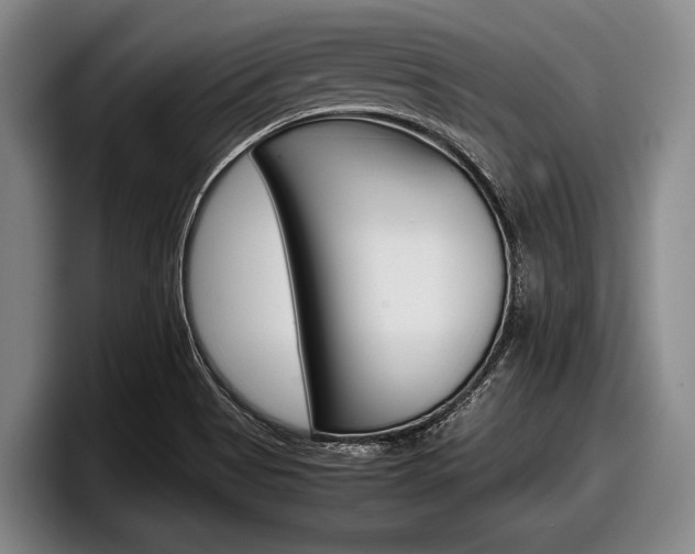 X0000098001513200803241031