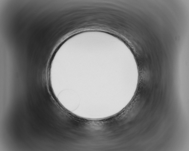 X0000098001514200803241031