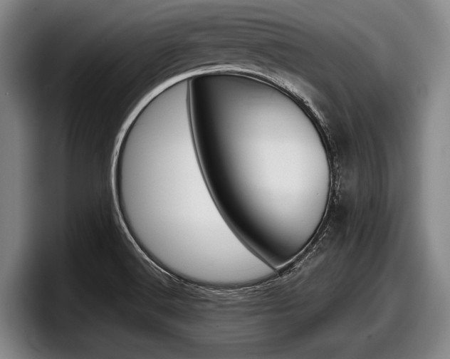 X0000098001516200803241031