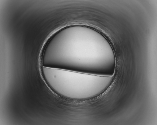 X0000098001517200803241031