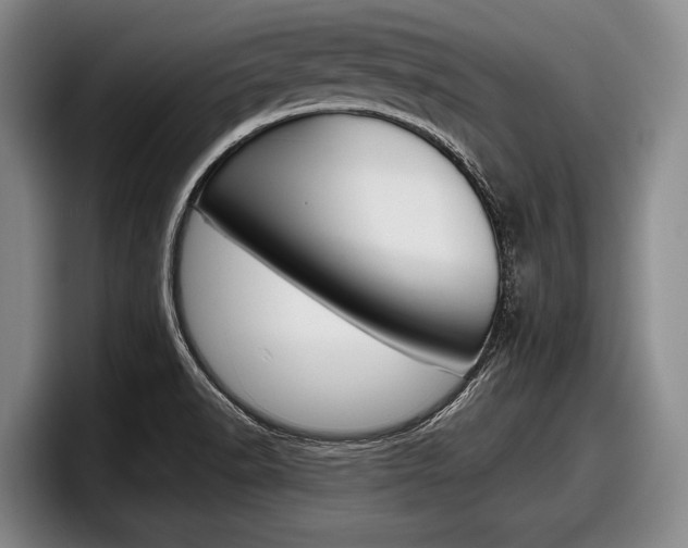 X0000098001518200803241031