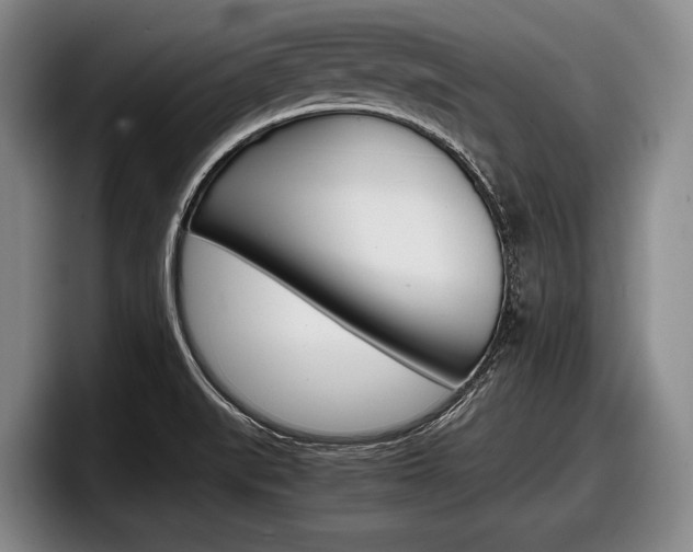 X0000098001519200803241031