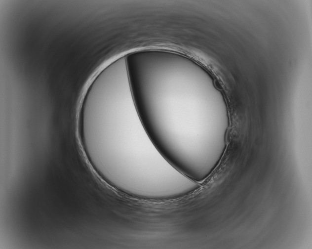 X0000098001520200803241031