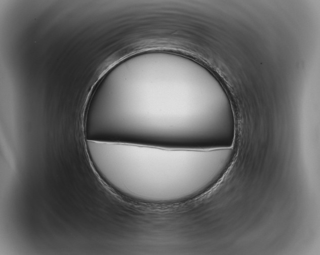 X0000098001521200803241031
