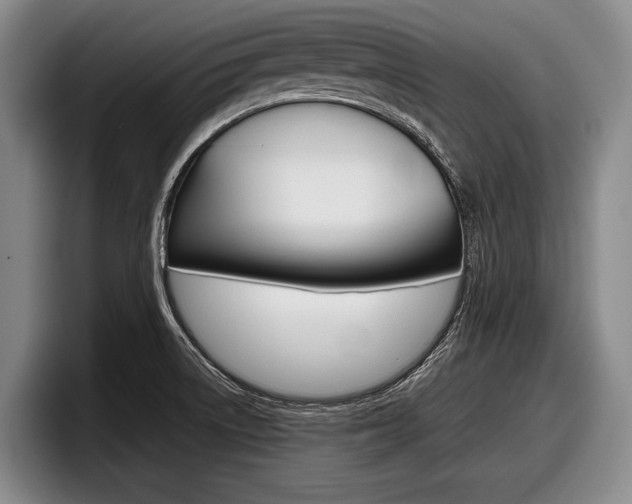 X0000098001522200803241031