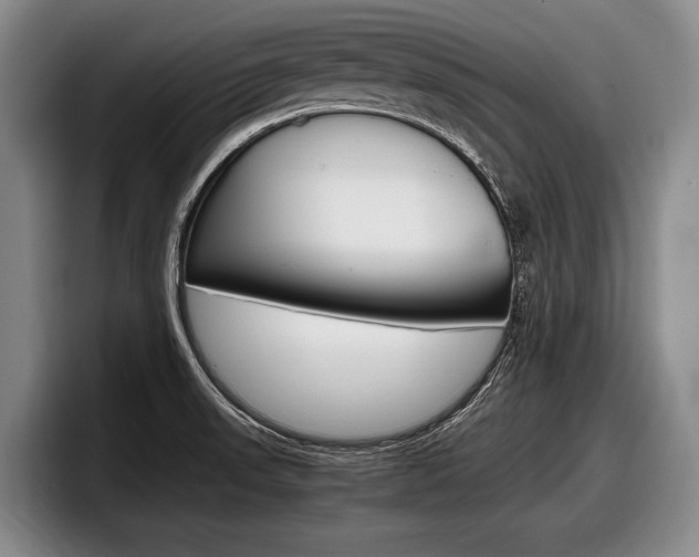 X0000098001523200803241031
