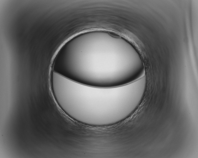 X0000098001524200803241031