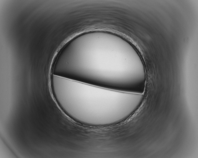 X0000098001525200803241031