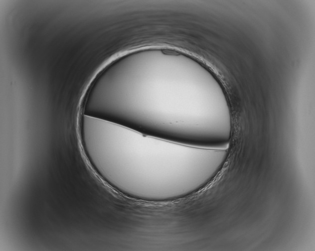 X0000098001526200803241031