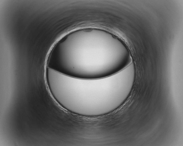 X0000098001528200803241031