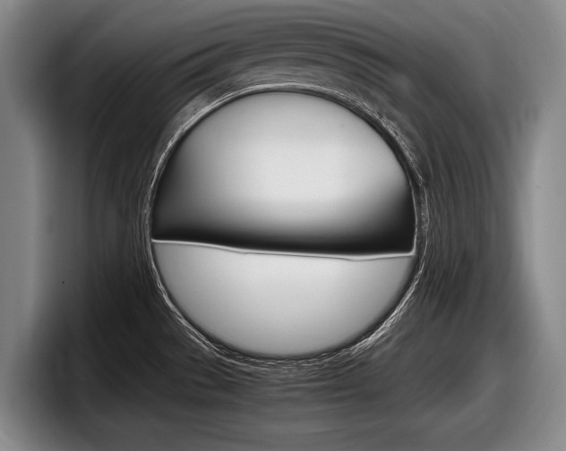 X0000098001529200803241031