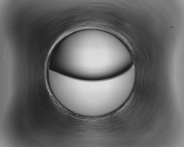 X0000098001530200803241031