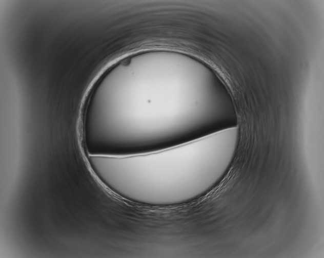 X0000098001531200803241031