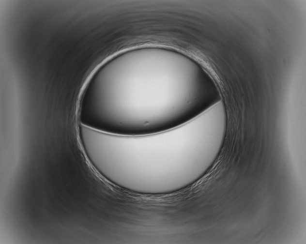 X0000098001532200803241031