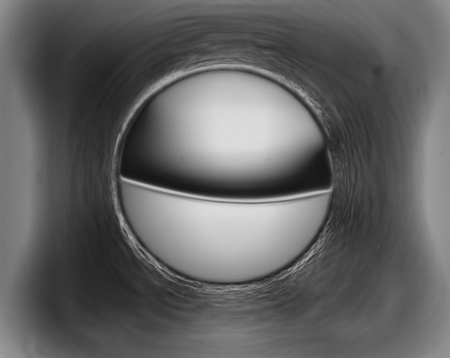 X0000098001534200803241031
