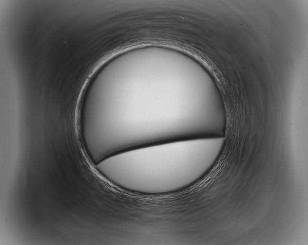 X0000098001535200803241031