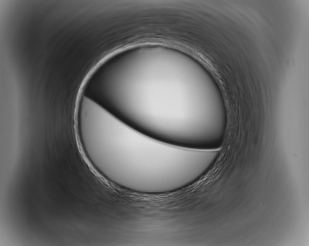 X0000098001536200803241031