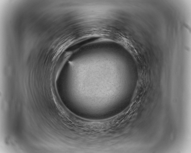 X0000098000001200803241352