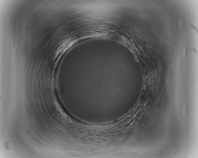 X0000098000002200803241352
