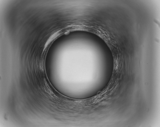 X0000098000004200803241352