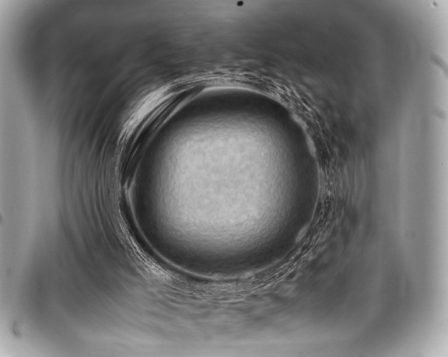 X0000098000005200803241352