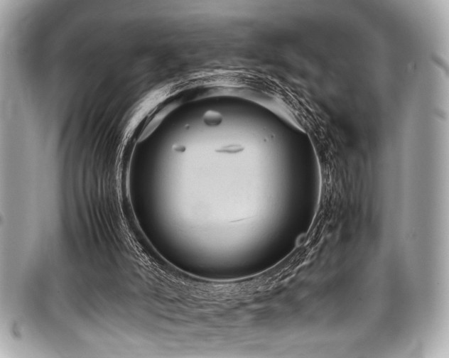 X0000098000006200803241352