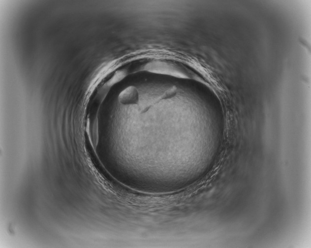 X0000098000007200803241352
