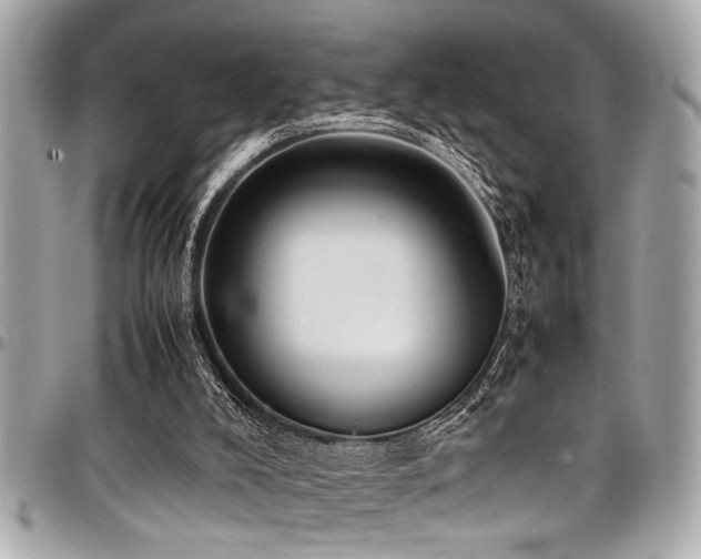 X0000098000008200803241352