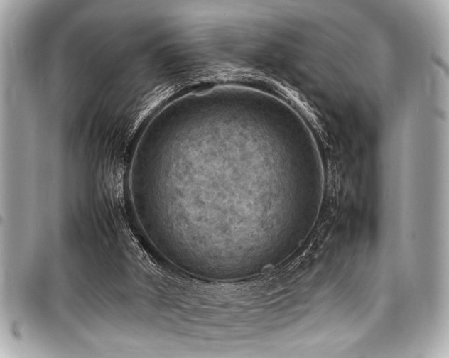 X0000098000010200803241352