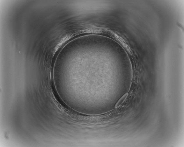 X0000098000011200803241352