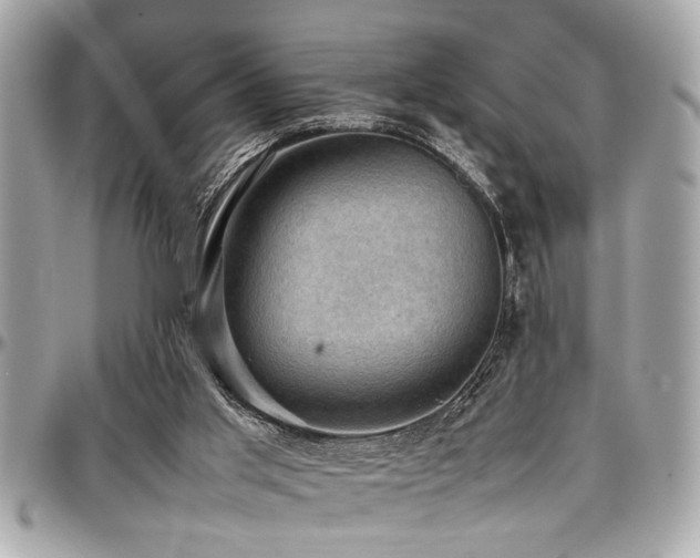 X0000098000013200803241352