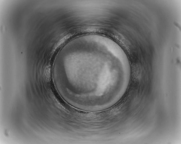 X0000098000016200803241352